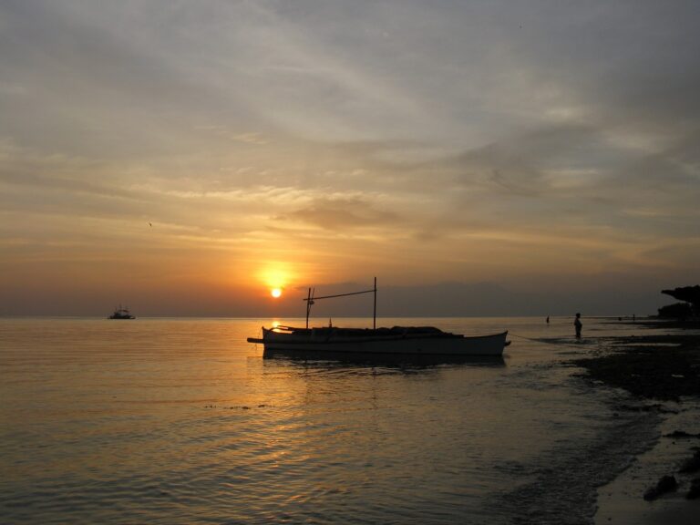 Lire la suite à propos de l’article SUNSETS