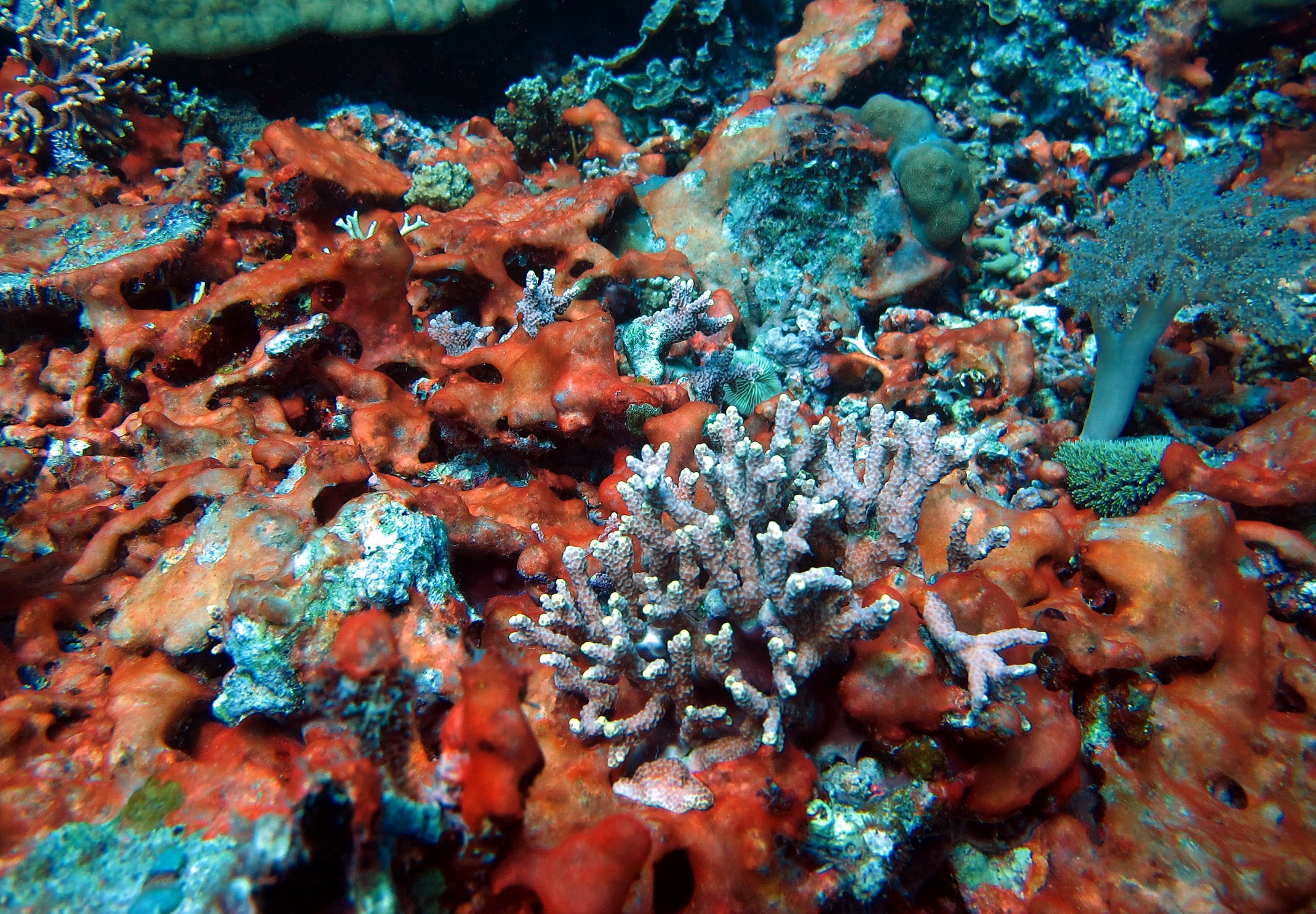 Lire la suite à propos de l’article Vie fixée 2012