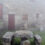 Cévennes et brouillards—avril 2015; quelque part entre Masméjan et Gourdouze, (Pont de Monvert)