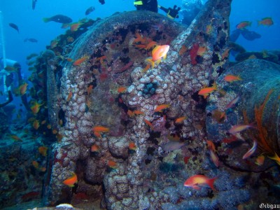 enroulant, déroulant.