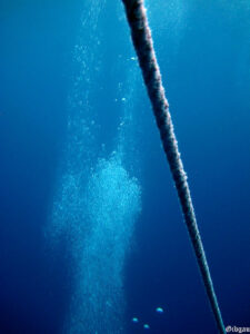 et , sous l'eau , entre terre et mer,