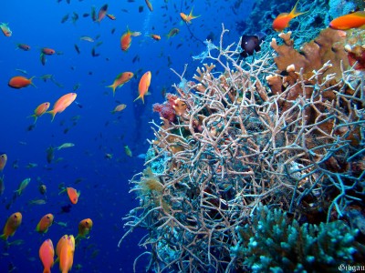 Quittons le lentement,