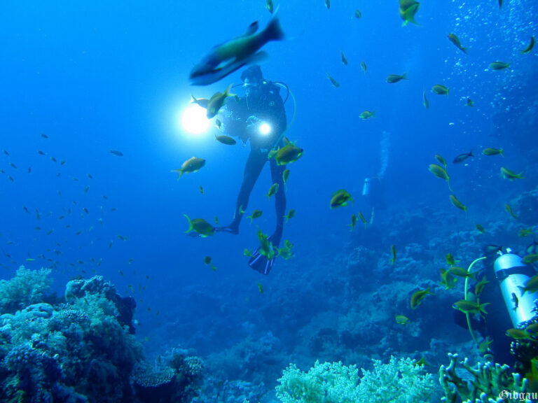 Lire la suite à propos de l’article MER ROUGE, EGYPTE: CROISIERE NORD 2013–RENAISSANCE-Magie de la lumière