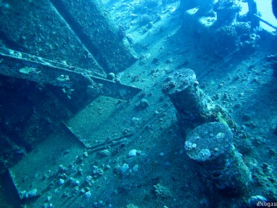 ponts peuplés de fantômes.Il abrite...