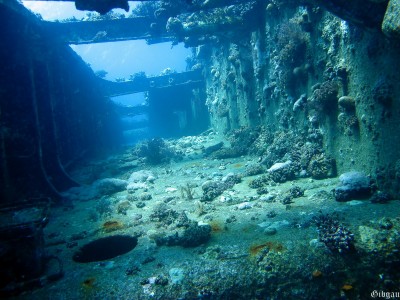 coursives désertées,