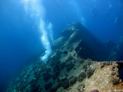 retrouvons le bleu- roi,