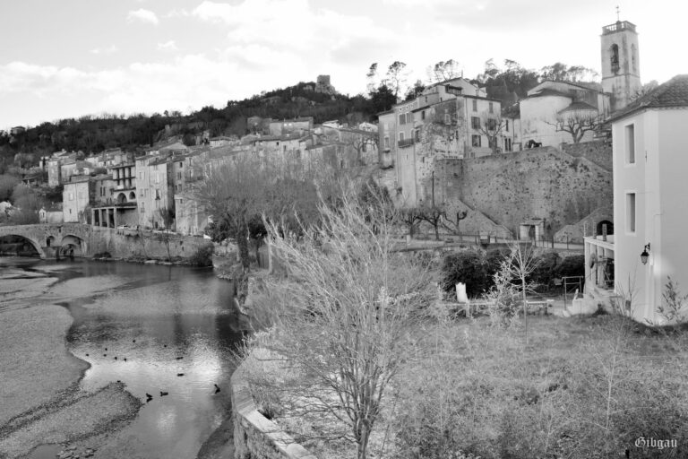 Lire la suite à propos de l’article SAUVE (Gard )    février 2015