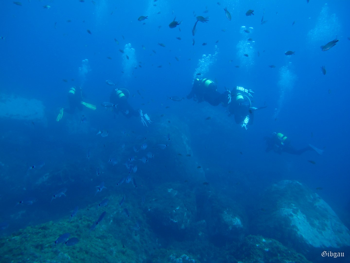 Lire la suite à propos de l’article Cala Joncols (Spain) : 09 2016