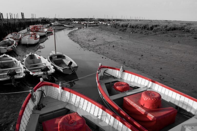 Lire la suite à propos de l’article Bateaux couleurs et noir et blanc, Norfolk, un soir d&rsquo;été.