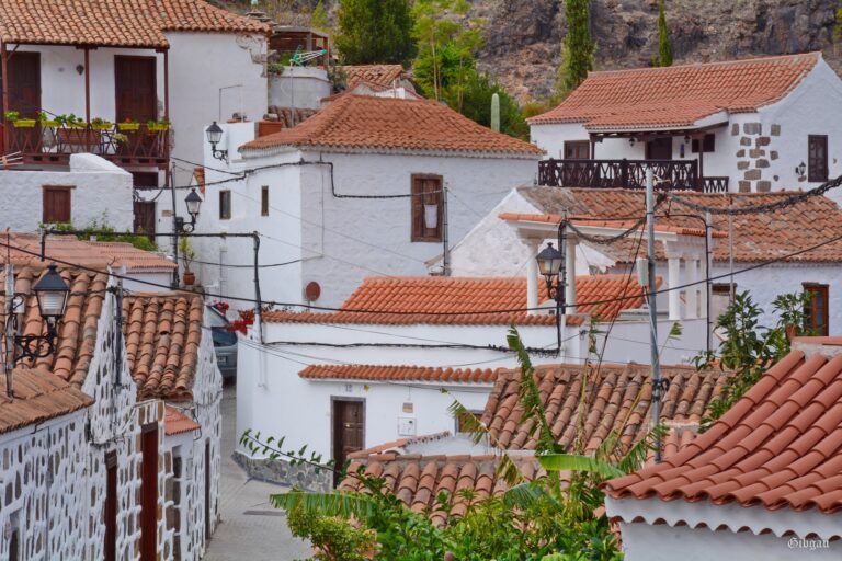 Lire la suite à propos de l’article FATAGA ( GRAN CANARIA) décembre 2019