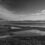 FLAQUES EN MER ( noir et blanc) octobre  2020 –plage des chalets  à Gruissan