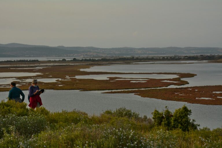 Lire la suite à propos de l’article SALINS DE GRUISSAN et L&rsquo;ETANG DE l&rsquo;AYROLLE –octobre 2020