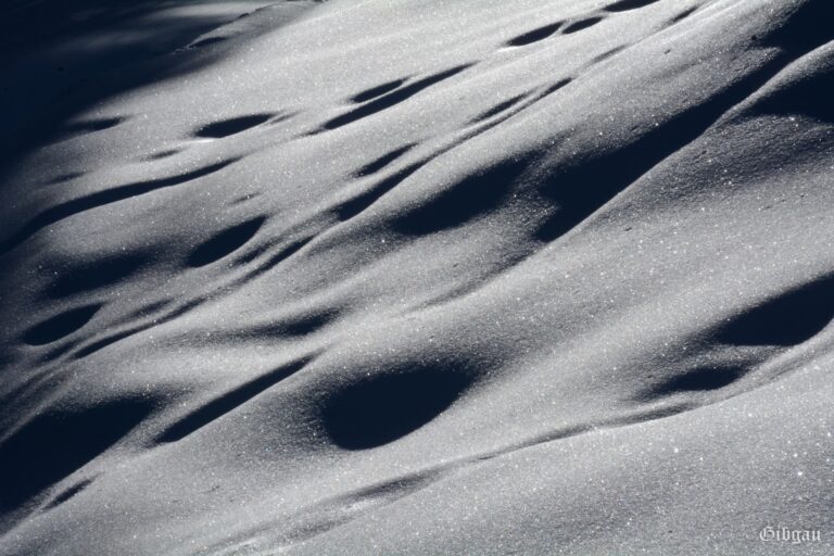 Lire la suite à propos de l’article Autour de Saint Nicolas de Véroce -Haute Savoie- janvier 2022- noir et blanc