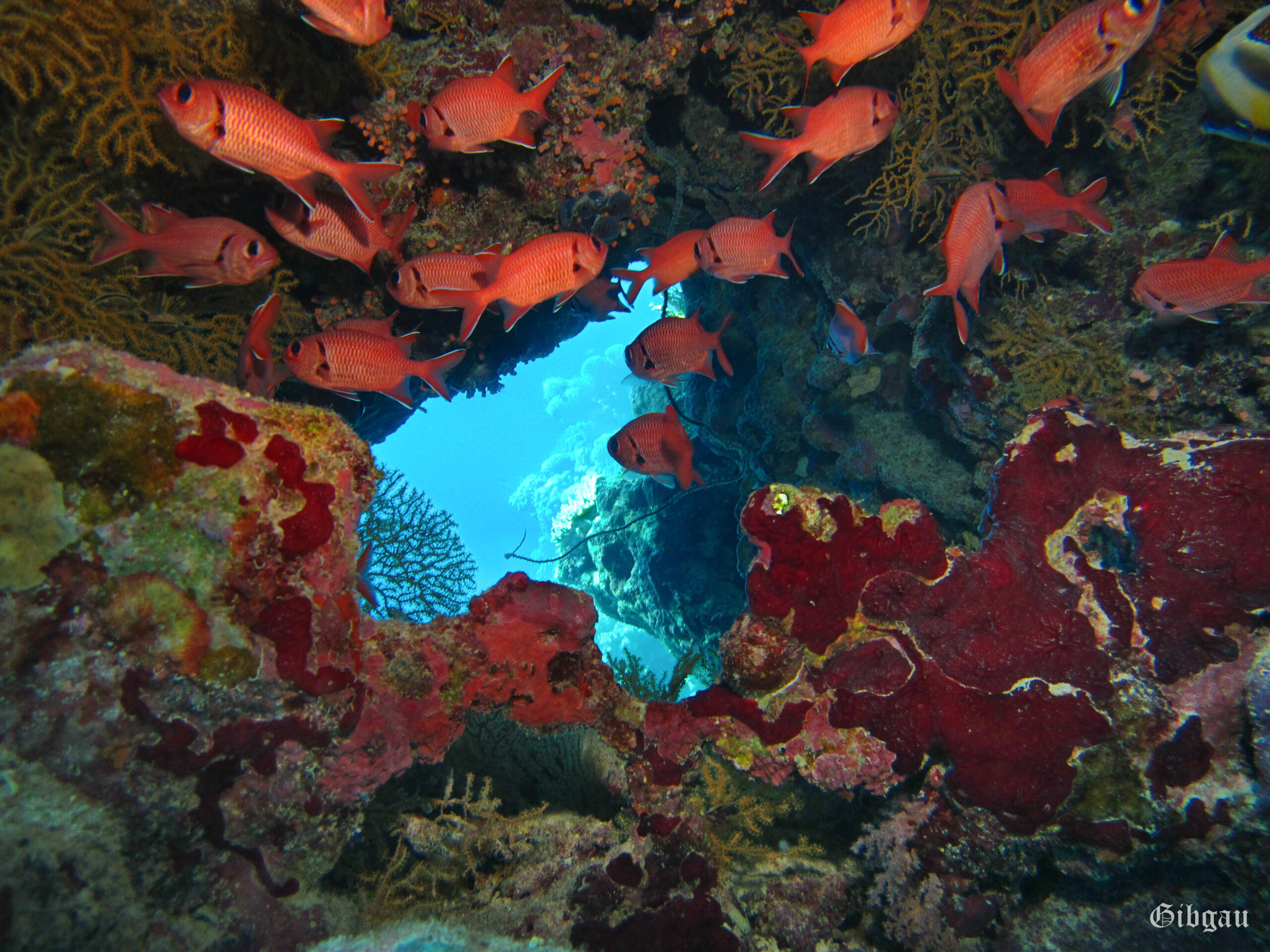 Lire la suite à propos de l’article Sharm el Naga — jour 4–novembre 2021