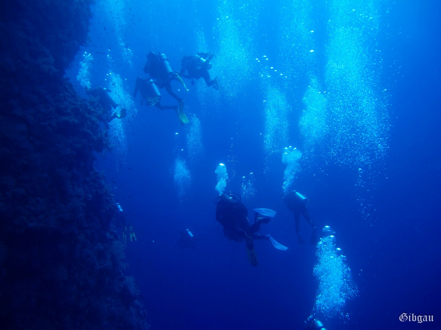 Lire la suite à propos de l’article Abu Kefan–Soma bay –Safaga–Mer Rouge (jour 2- decembre 2023)