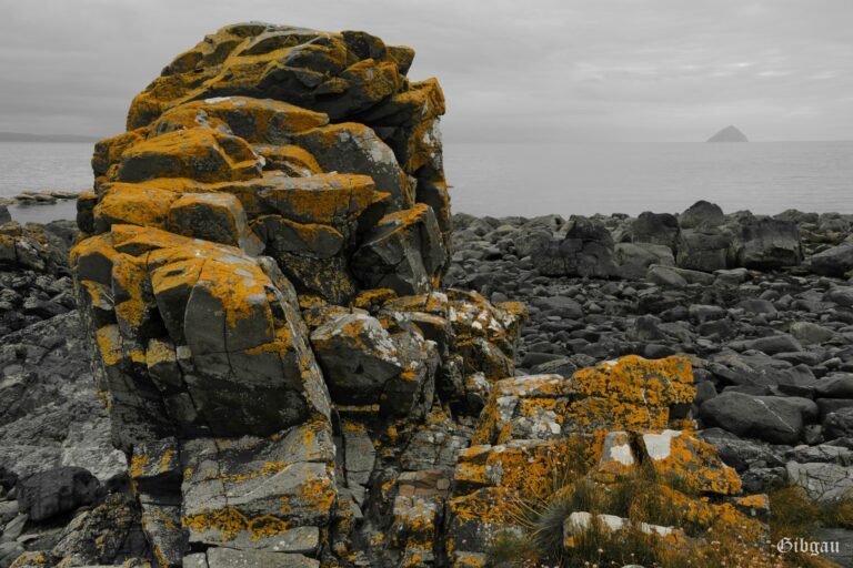 Lire la suite à propos de l’article Isle of Arran, July 2022: rocks and the firth of Clyde