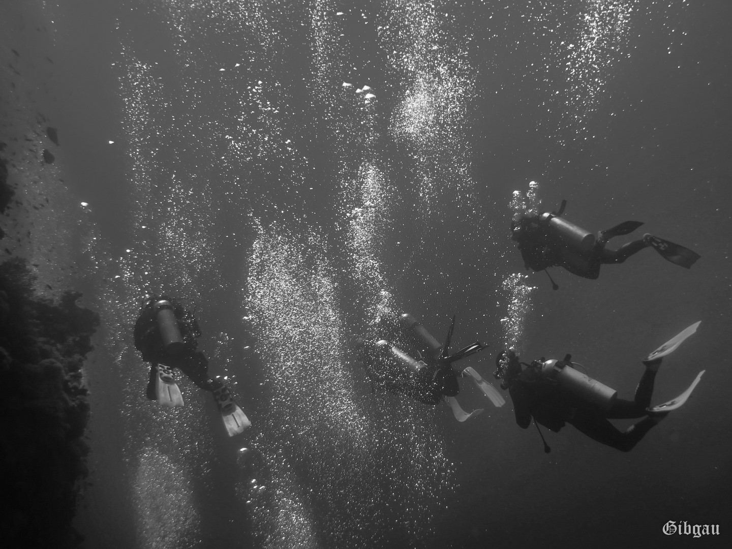 Lire la suite à propos de l’article Plongeurs- bulles et lumière –Abu Kefan – Soma bay- Egypte-décembre 2022-noir et blanc et un peu d&rsquo;orange