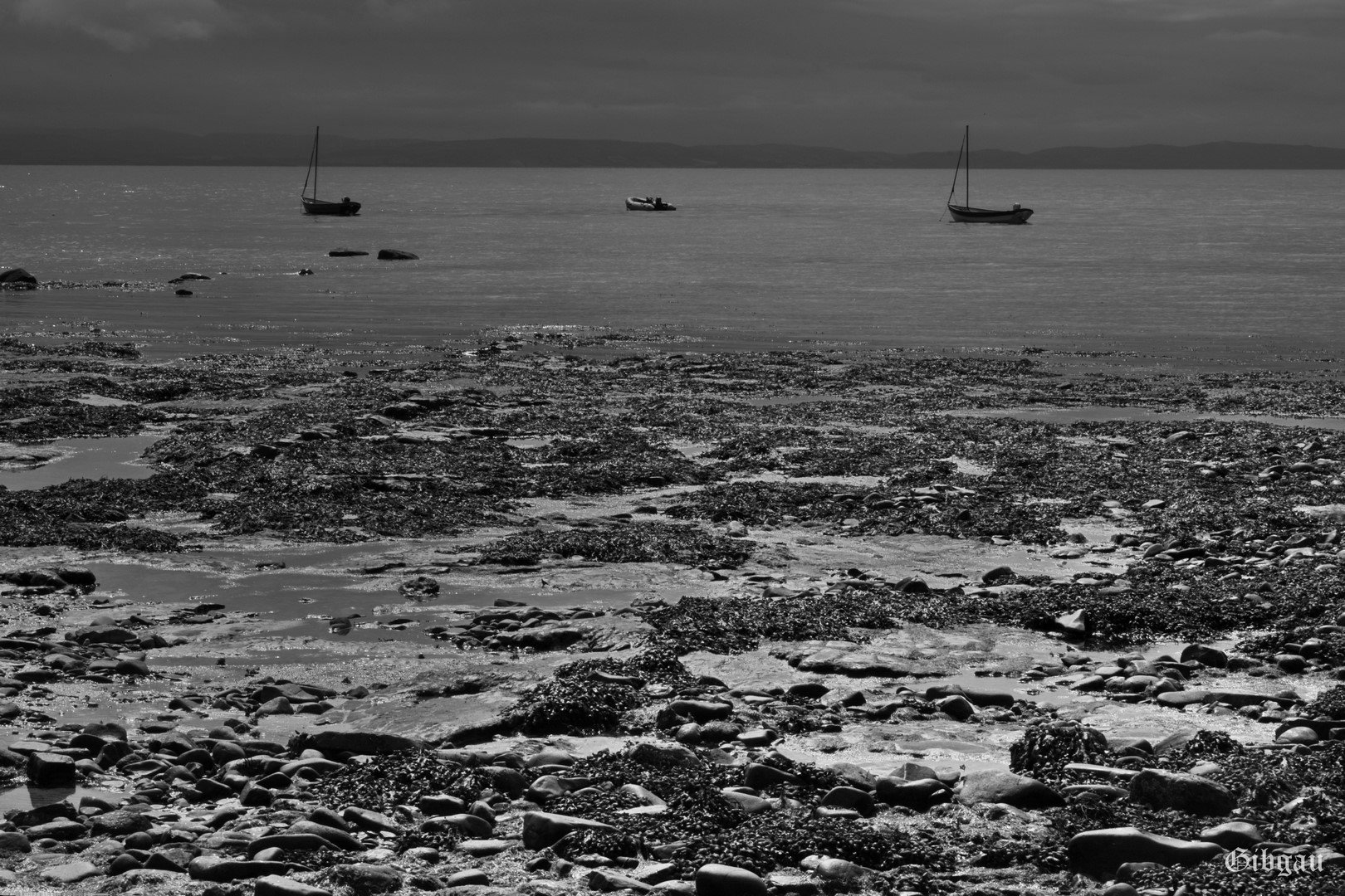 Lire la suite à propos de l’article Tide and Boats on the firth of Forth– Scotland– August 2022