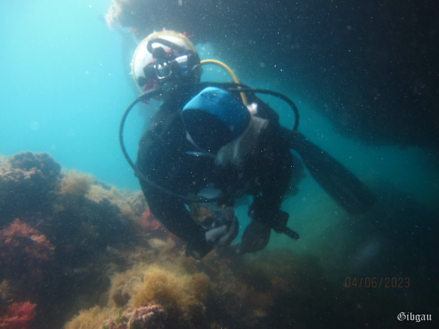 Lire la suite à propos de l’article Plongée  La Couronne 4/6/2023