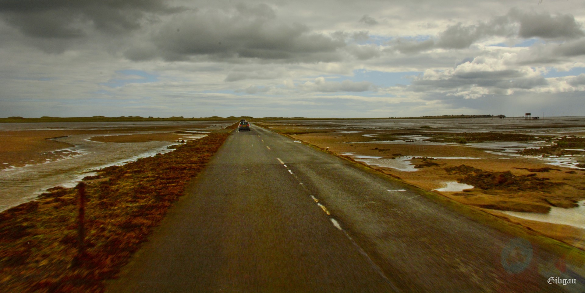 Lire la suite à propos de l’article Holy Island (Northumberland)–August 2022