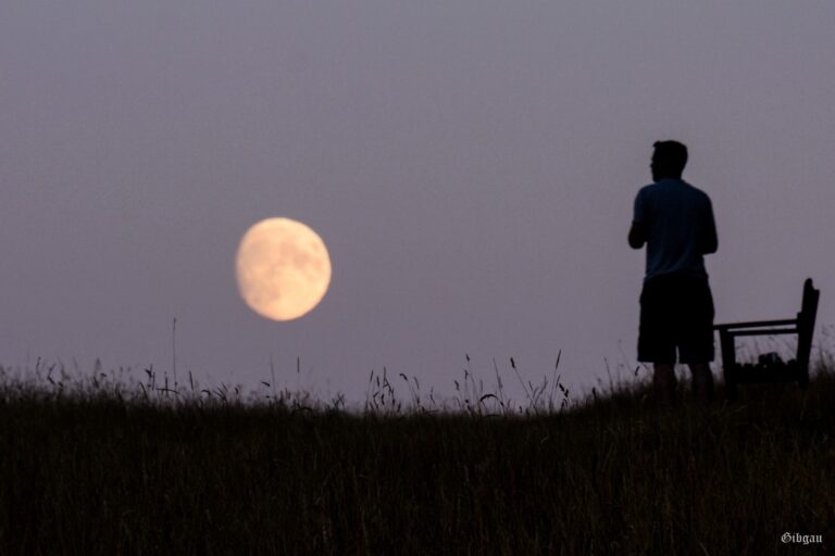 Lire la suite à propos de l’article J&rsquo;ai pris la Lune en photo–Août 2022– Oxfordshire