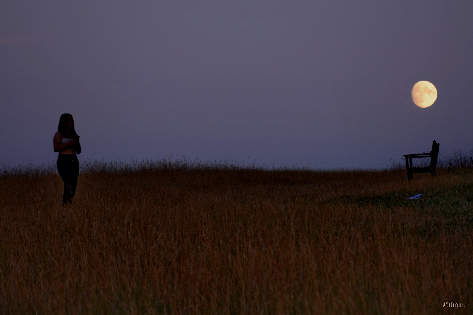Lire la suite à propos de l’article Jeune fille et la Lune– Août 2022