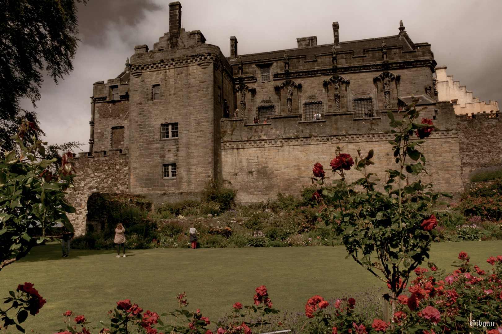 Lire la suite à propos de l’article Stirling Castle and surroundings (Scotland)– Août 2022