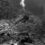 Marsa Alam-Mer Rouge- 12 2023: plongeuse  et banc (Noir et Blanc)