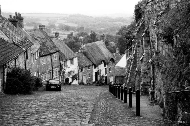 Lire la suite à propos de l’article Gold Hill–Shaftsbury –Dorset-August 2023