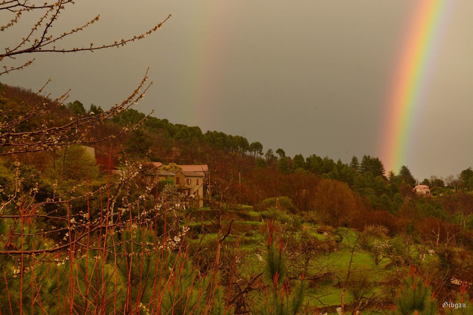 Lire la suite à propos de l’article Rainbows en Cévennes – Avril 2024
