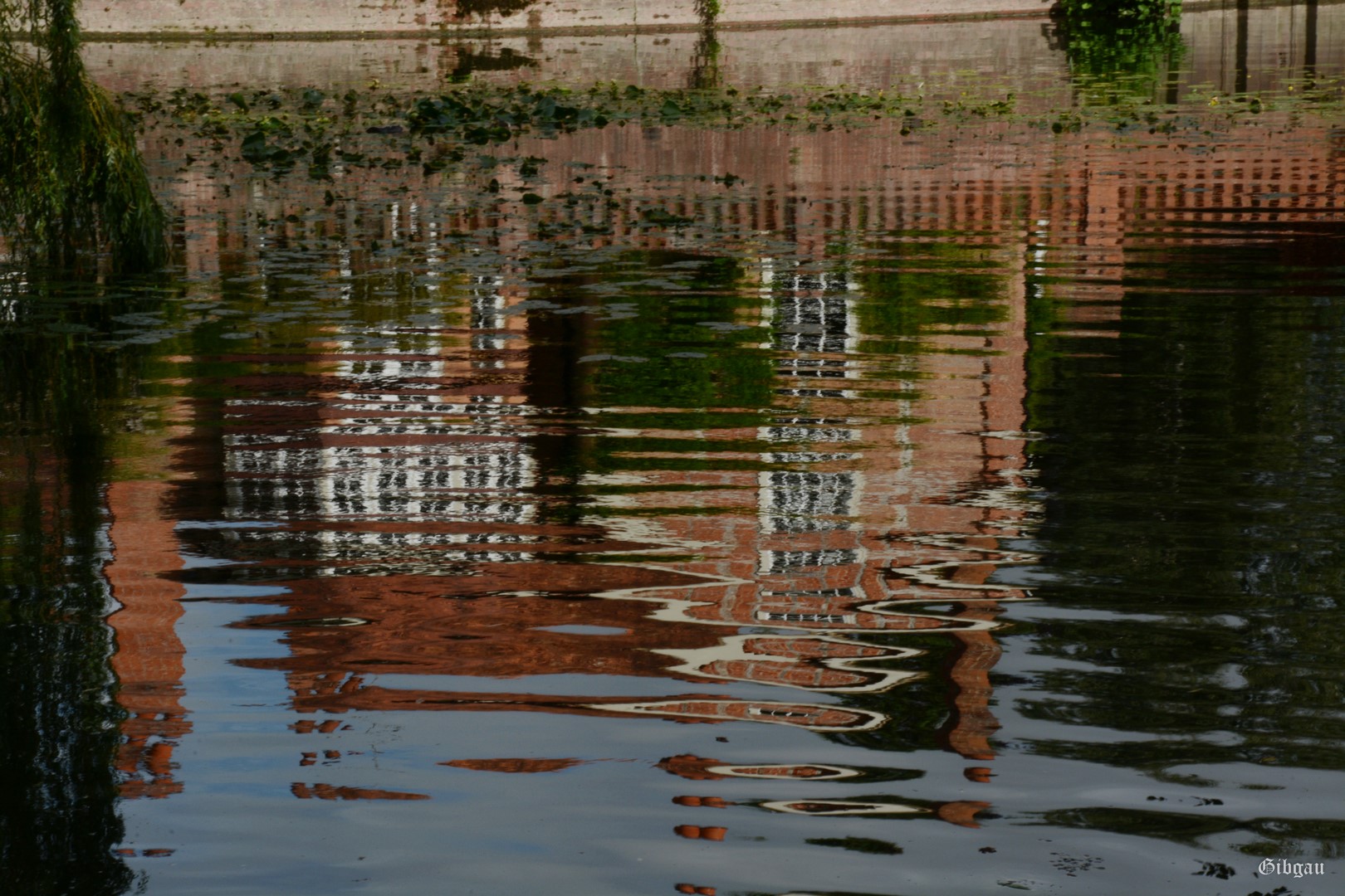 Lire la suite à propos de l’article Docks of Goring– Berkshire –GB–August 2023