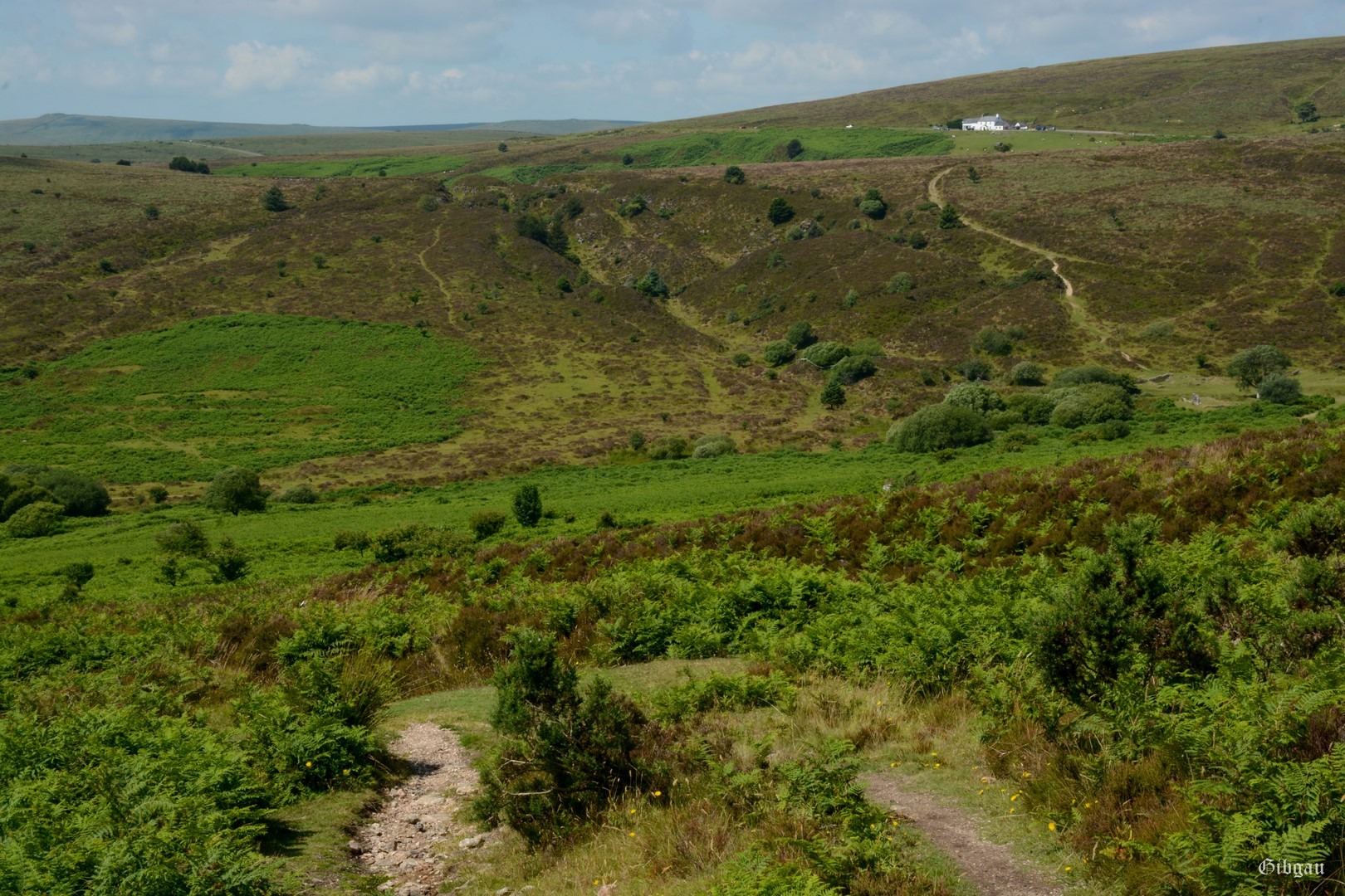 Lire la suite à propos de l’article Dartmoor–UK–08/2024