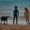 Enfants, chiens , sable et vagues–Hive beach–Dorset July 2024.