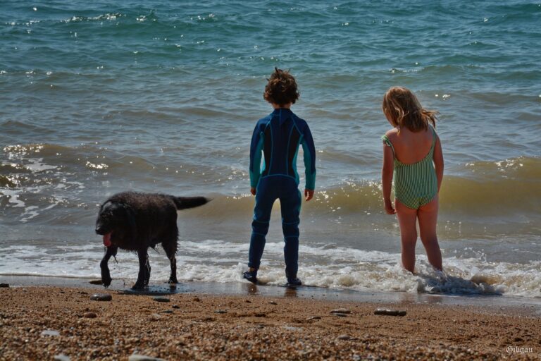 Lire la suite à propos de l’article Enfants, chiens , sable et vagues–Hive beach–Dorset July 2024.