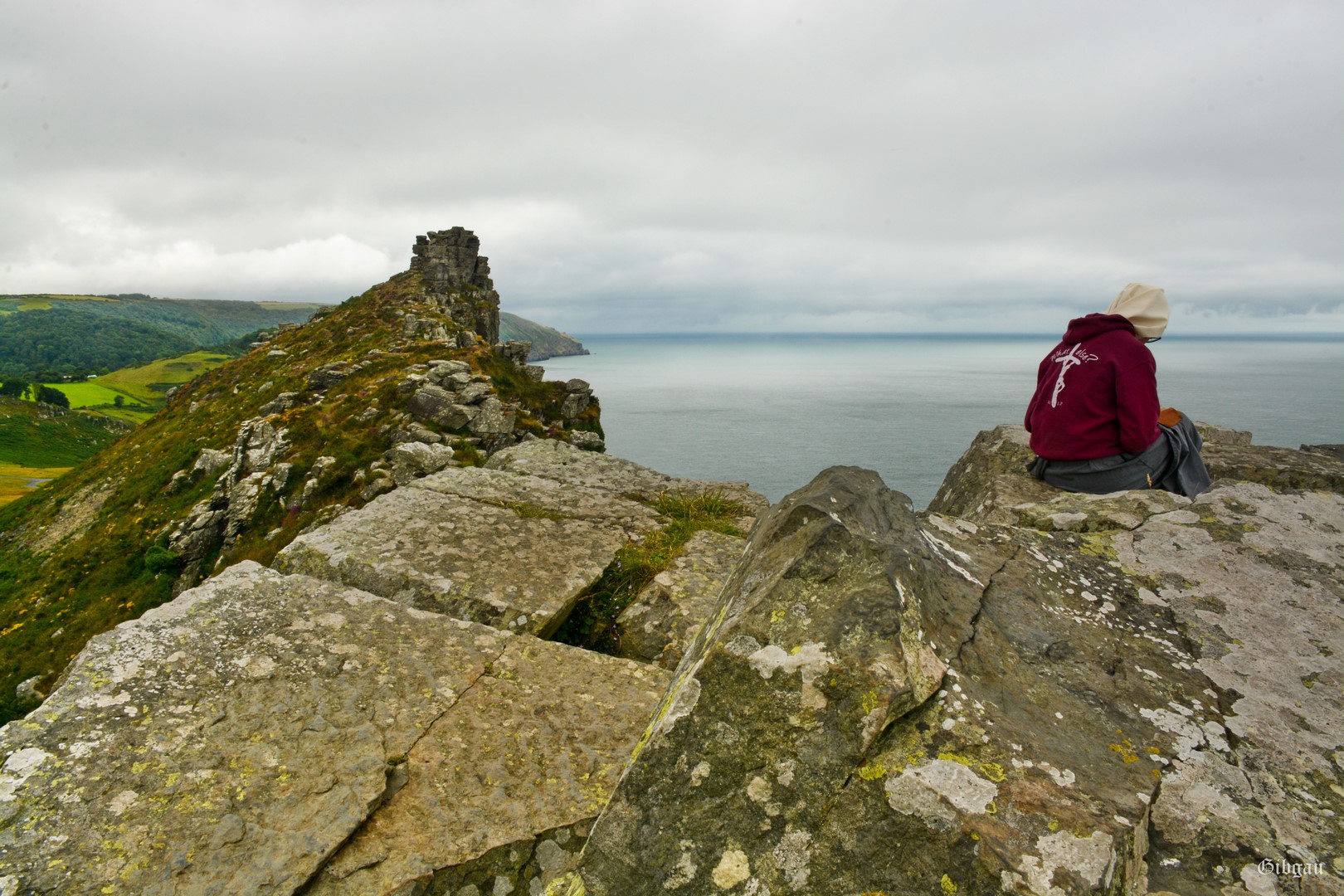 Lire la suite à propos de l’article Valley of rocks, Exmoor , North Devon–August 2024