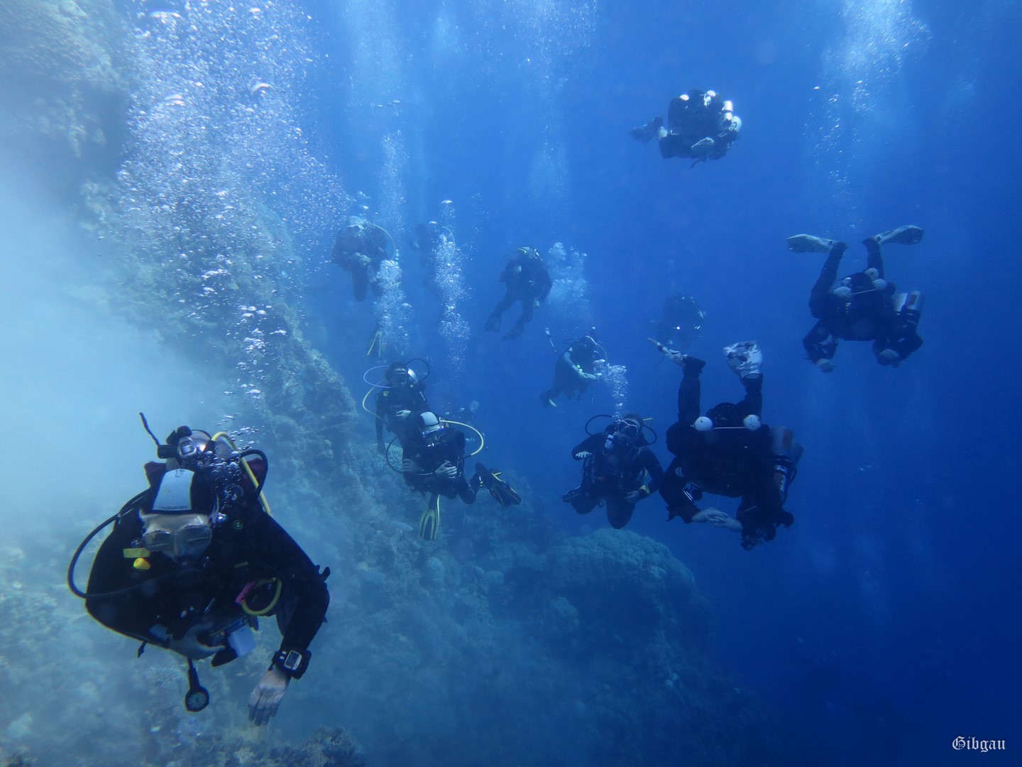 Lire la suite à propos de l’article Panorama Reef –Safaga–Mer Rouge-11 2024