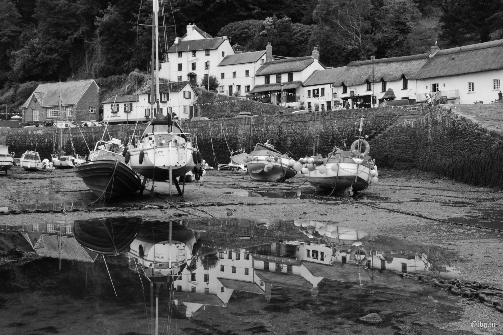 Lire la suite à propos de l’article Lynmouth–Devon– UK– 2024 ( Black and White)