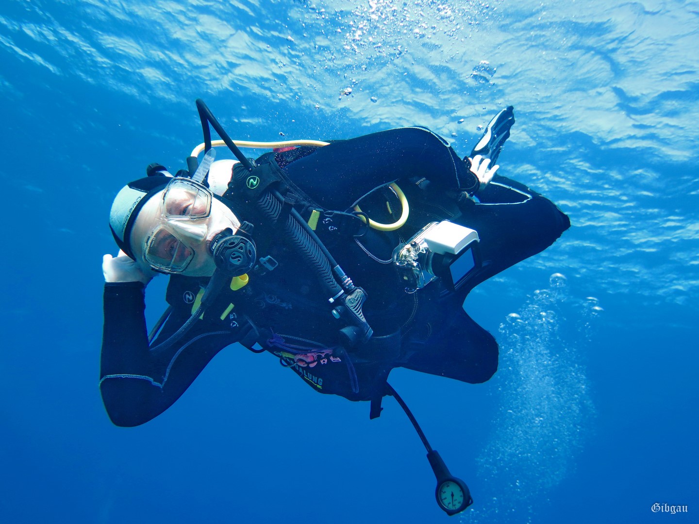 Lire la suite à propos de l’article Middle reef –Egypte– décembre 2025