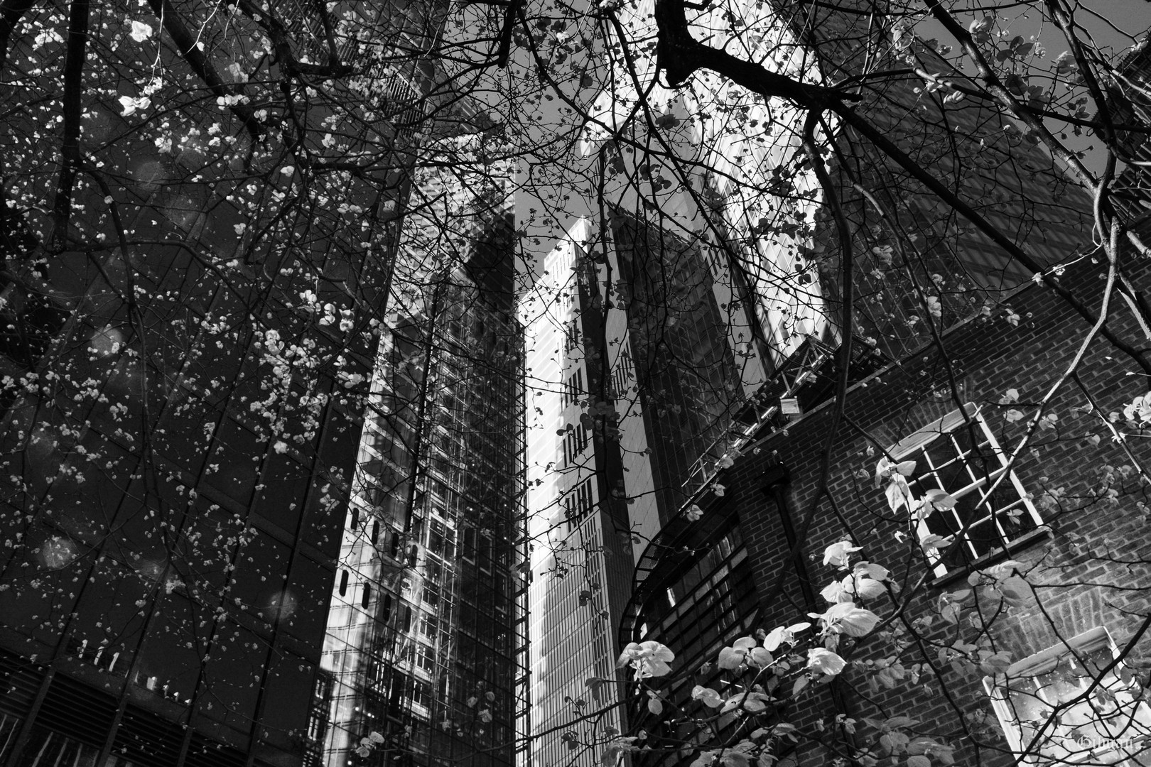 Lire la suite à propos de l’article The Gerkin– The City– London–April 2025